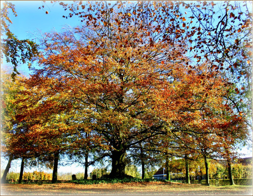 759178 (a): :2100x1621